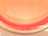 ظرف سرامیکی FRESH SEAL BOWEL سوپاپ دار 3 تایی بزرگ